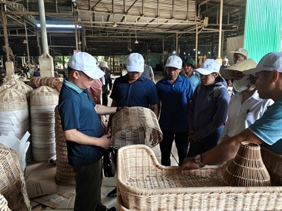 Bảo tồn và phát triển sản phẩm từ cây mây rừng