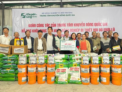 Hỗ trợ nông dân Quảng Ngãi sớm tái thiết hoạt động nông nghiệp