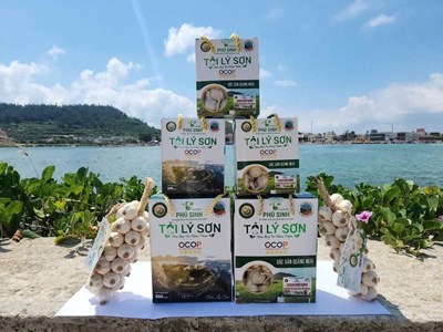 Nâng cao giá trị đặc sản tỏi Lý Sơn