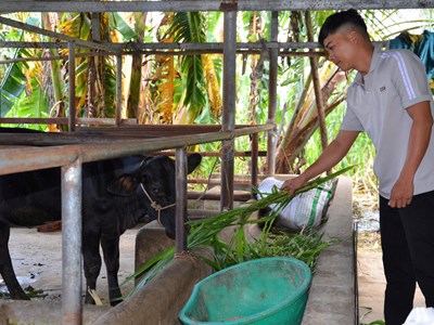 Mộ Đức nỗ lực giảm nghèo sau khi thực hiện chính quyền địa phương 2 cấp