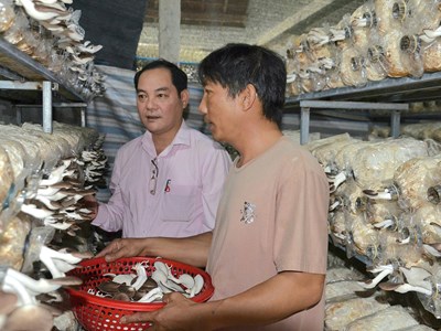 Vốn tín dụng chính sách “mở đường” khởi nghiệp cho lao động nông thôn