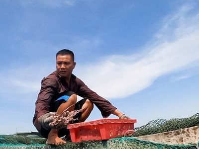 Cảnh báo bão sớm - “lá chắn” bảo vệ sinh kế của người dân