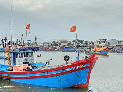 Rộn ràng nhịp biển những ngày giáp Tết