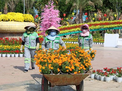 Quảng Ngãi rực rỡ sắc Xuân, sẵn sàng đón Tết