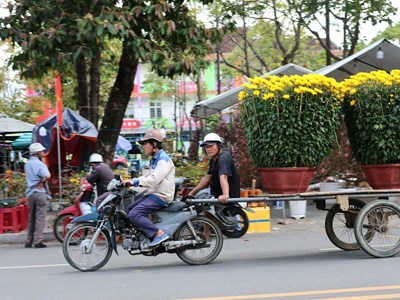 Mưu sinh theo “chuyến Xuân” - Nghề chở hoa Tết vào mùa ở Quảng Ngãi