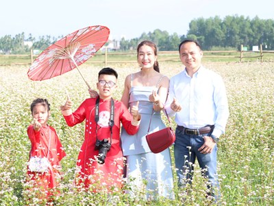 Ngỡ ngàng cánh đồng tam giác mạch giữa lòng đô thị Quảng Ngãi