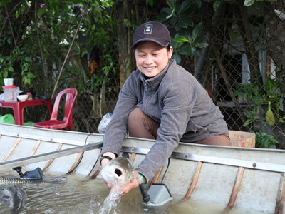 Quảng Ngãi: Bán cá trên ghe, ngư dân Trà Khúc thu tiền triệu mỗi ngày