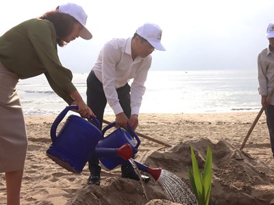 Trồng cây làm đẹp bãi biển Mỹ Khê, vun đắp động lực phát triển du lịch xanh