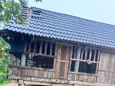 Lốc xoáy làm tốc mái 116 nhà ở miền núi Quảng Ngãi
