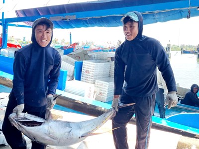 Tàu cá Quảng Ngãi bội thu hải sản, ngư dân phấn khởi sau chuyến biển xa