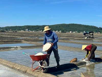 Diêm dân Sa Huỳnh phấn khởi khi giá muối tăng kỷ lục