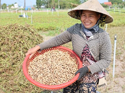Nông nghiệp Lân Phong chuyển từ tự phát sang liên kết chuỗi