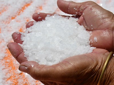 “Hoa muối’ Gò Cỏ - tinh thể của ký ức và di sản