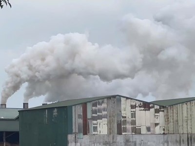 Hàng chục hộ dân khốn khổ vì khói bụi từ nhà máy viên nén