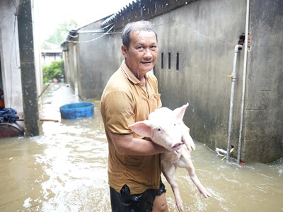 Mưa lớn gây ngập nhiều khu dân cư ở Quảng Ngãi