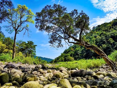 Biến “kho báu xanh” Vườn quốc gia Vũ Quang thành điểm đến sinh thái tầm cỡ