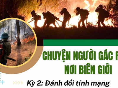 Kỳ 2 - Đánh đổi tính mạng