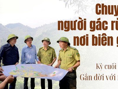 Kỳ cuối - Gắn đời với rừng