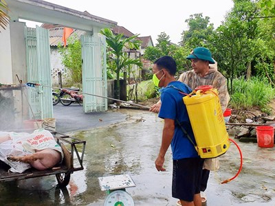Dịch tả lợn châu Phi trước nguy cơ lan rộng tại Hà Tĩnh