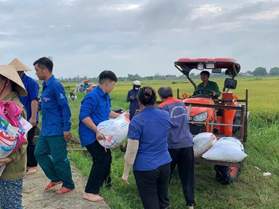 Hà Tĩnh sơ tán dân khẩn cấp trước bão số 5