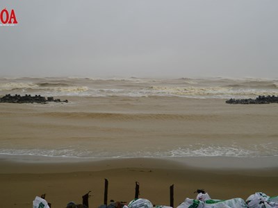 Triều cường dâng cao, gió giật mạnh