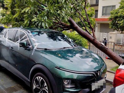 Kính toà nhà cao tầng rơi vỡ, nhiều ô tô hư hỏng