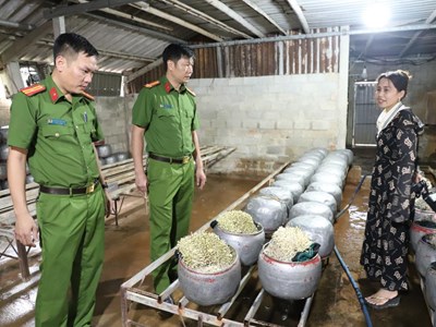 Phát hiện cơ sở dùng “nước kẹo” sản xuất giá đỗ ở Hà Tĩnh