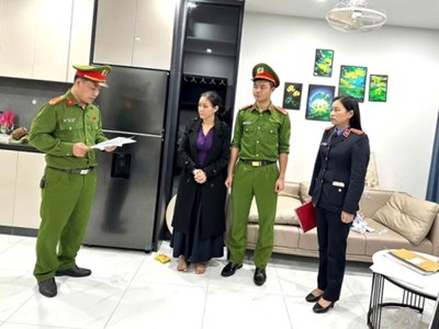 Khởi tố một nữ môi giới đất ở Hà Tĩnh 