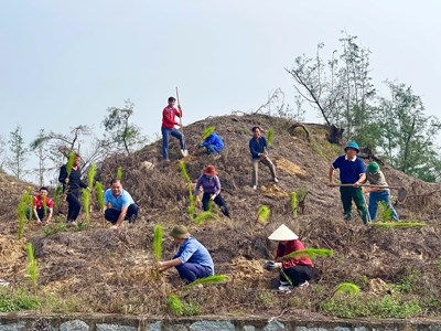 Trồng khôi phục rừng phòng hộ Thạch Khê sau bão