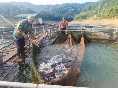 Hà Tĩnh cần đánh thức “mỏ vàng” dưới lòng hồ