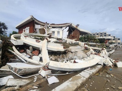 Làm trái thiết kế, Hoa Tiên Xuân Thành phải chịu trách nhiệm sự cố