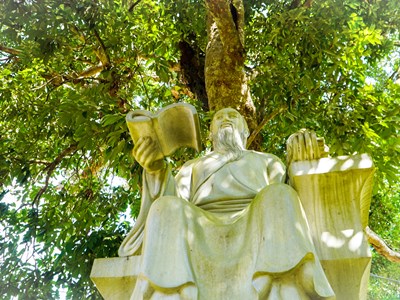 Chuyện về cây vải 300 tuổi gắn với cuộc đời Hải Thượng Lãn Ông