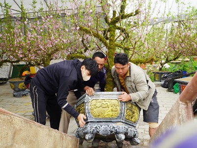 Mưu sinh mùa Tết