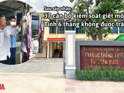 Sau sáp nhập, 37 cán bộ kiểm soát giết mổ Hà Tĩnh 6 tháng không lương