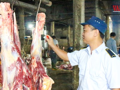 Đề xuất bố trí 1,2 tỉ đồng cho kiểm soát giết mổ ở Hà Tĩnh