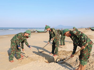 Huy động lực lượng thu gom hàng tấn vỏ ngao tím dạt vào bờ biển Hà Tĩnh