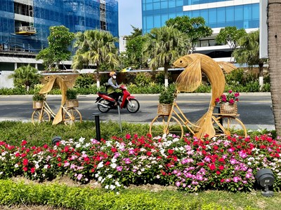 “Đường hoa biển Đà Nẵng” sẽ được đưa vào phục vụ người dân và du khách