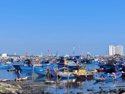 Đà Nẵng: Chủ động ứng phó với bão số 3