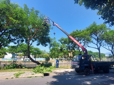 Đà Nẵng: Khắc phục thiệt hại sau bão số 6