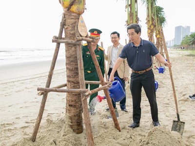 Lễ tiếp nhận và trồng dừa tại các bãi biển du lịch Đà Nẵng