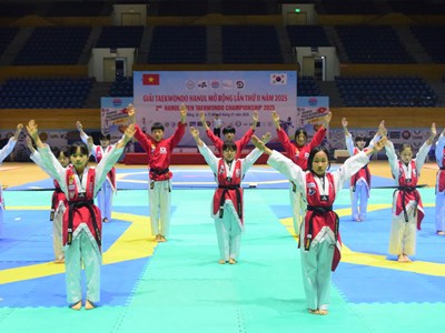Gần 500 vận động viên dự giải Taekwondo Hanul mở rộng