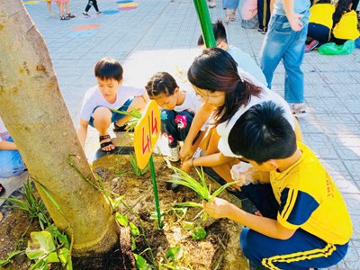 Tích cực xây dựng trường học an toàn, xanh sạch