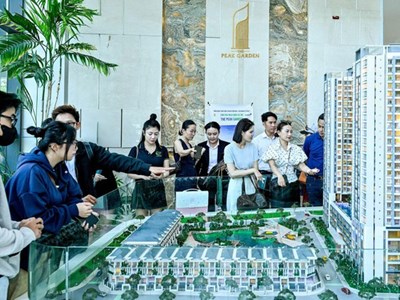 Phân khúc 75 – 80 triệu/m² trở thành điểm cân bằng thị trường
