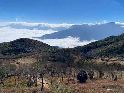 Ngắm nhìn vẻ đẹp của “nàng thơ Tây Bắc” Ky Quan San 