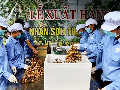 Nông sản Việt đổi trục phát triển từ “lượng” sang “chất”