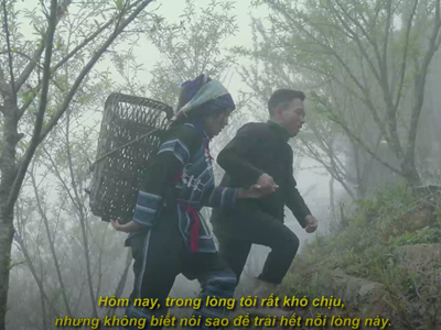 Đi trong sương