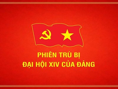 [Infographic] Phiên trù bị Đại hội đại biểu toàn quốc lần thứ XIV của Đảng