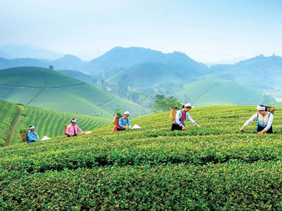 Thái Nguyên điều chỉnh quy hoạch, định hình trung tâm văn hoá - du lịch vùng trung du