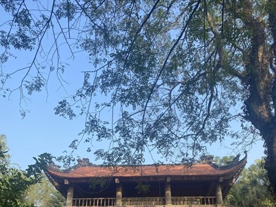 Cần đẩy nhanh tiến độ quy hoạch Di tích quốc gia đặc biệt chùa Đọi Sơn