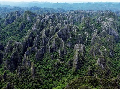 UNESCO công nhận Di sản liên biên giới Vườn quốc gia Phong Nha - Kẻ Bàng và Vườn quốc gia Hin Nam Nô - Lào